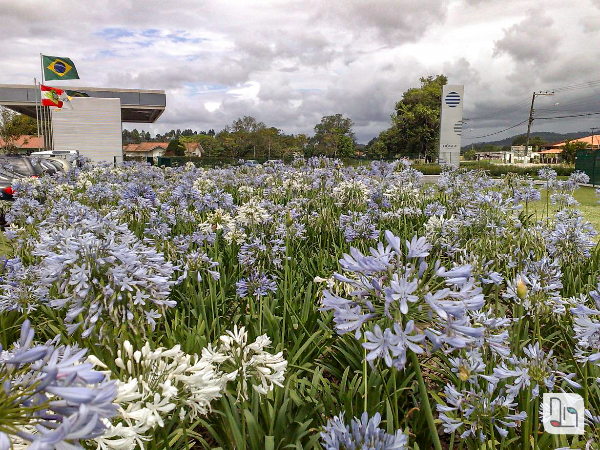 paisagismo em industria