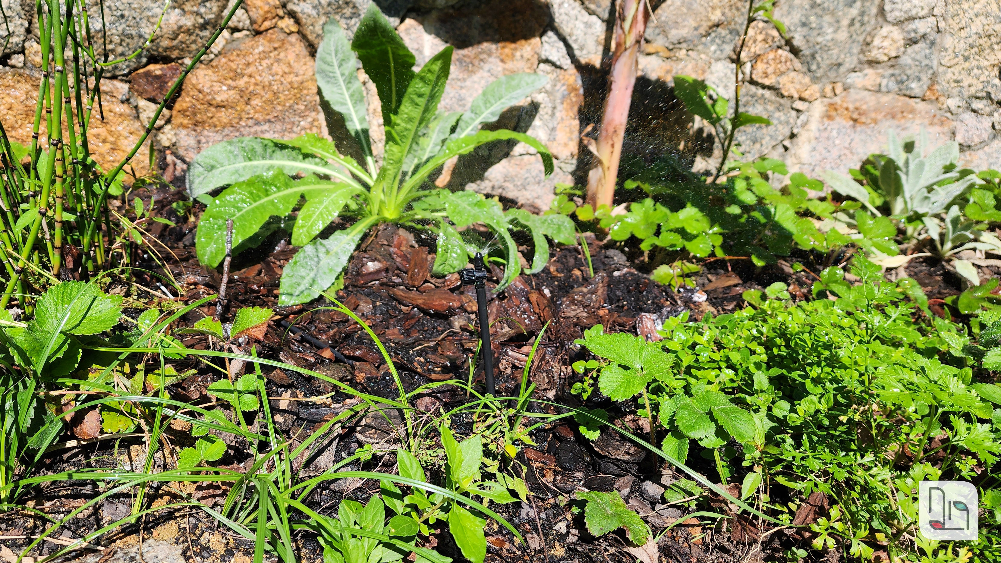 irrigação de horta em condominio