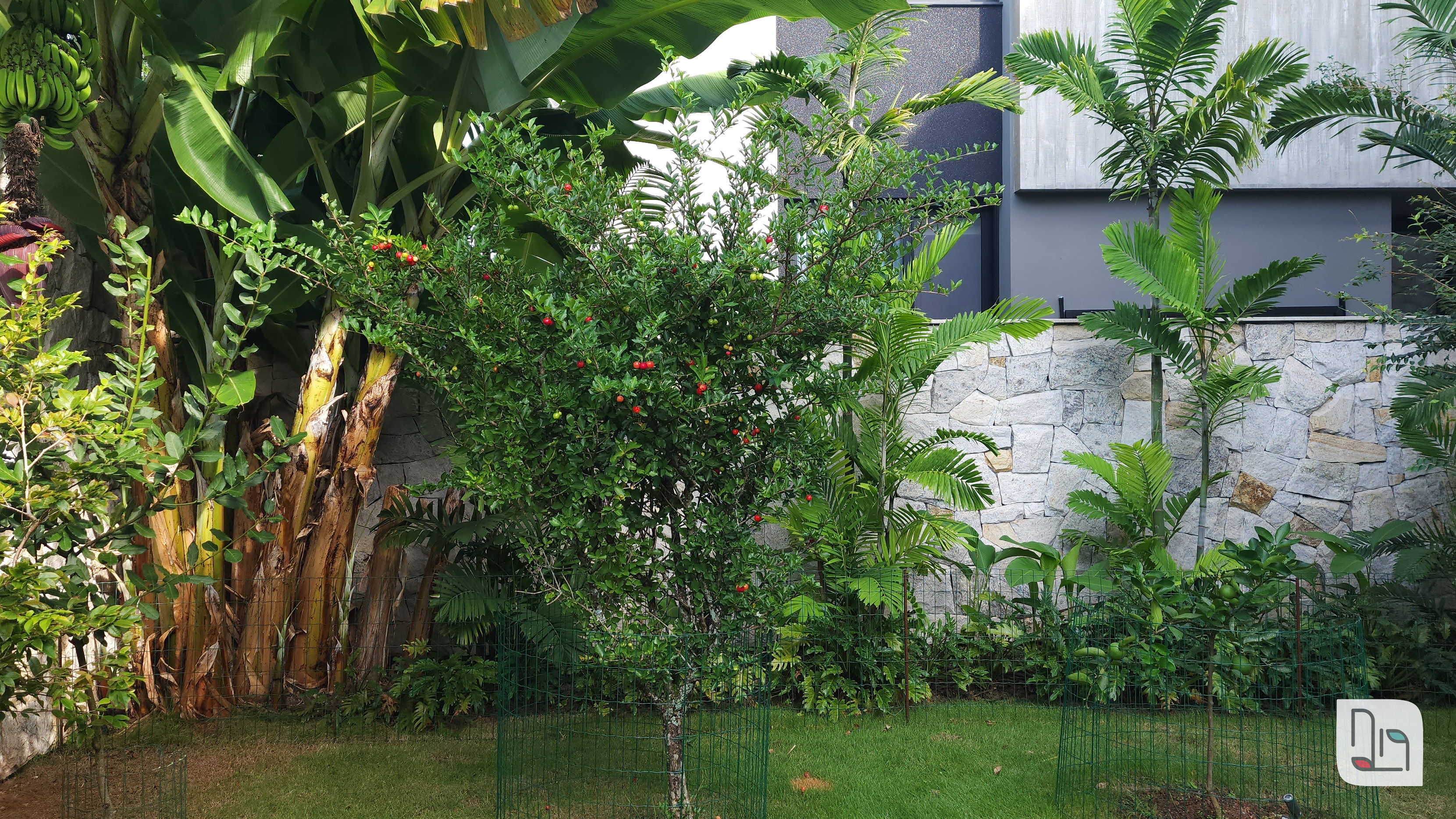 pomar em residência