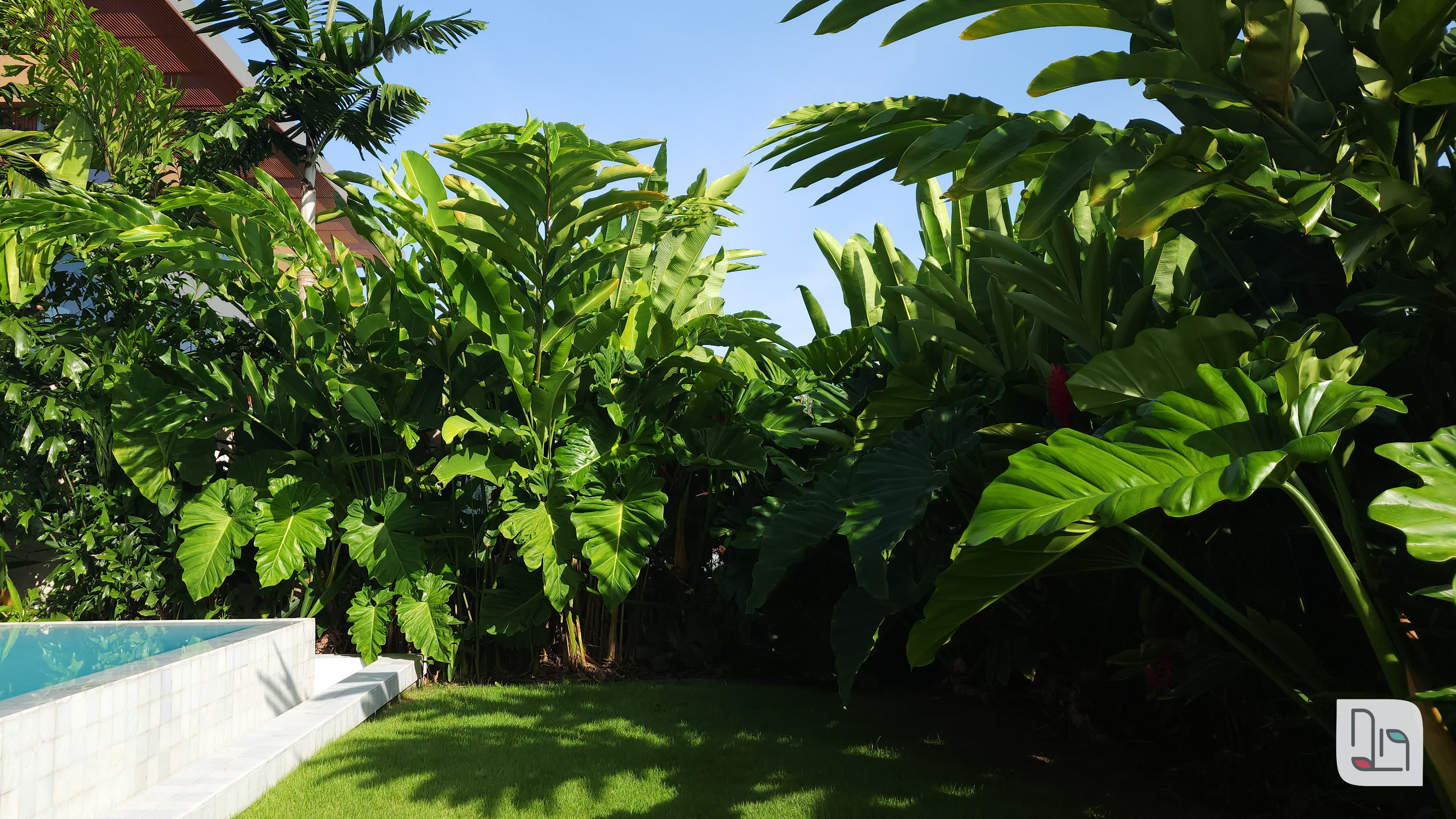 gramado e canteiros para drenagem da chuva