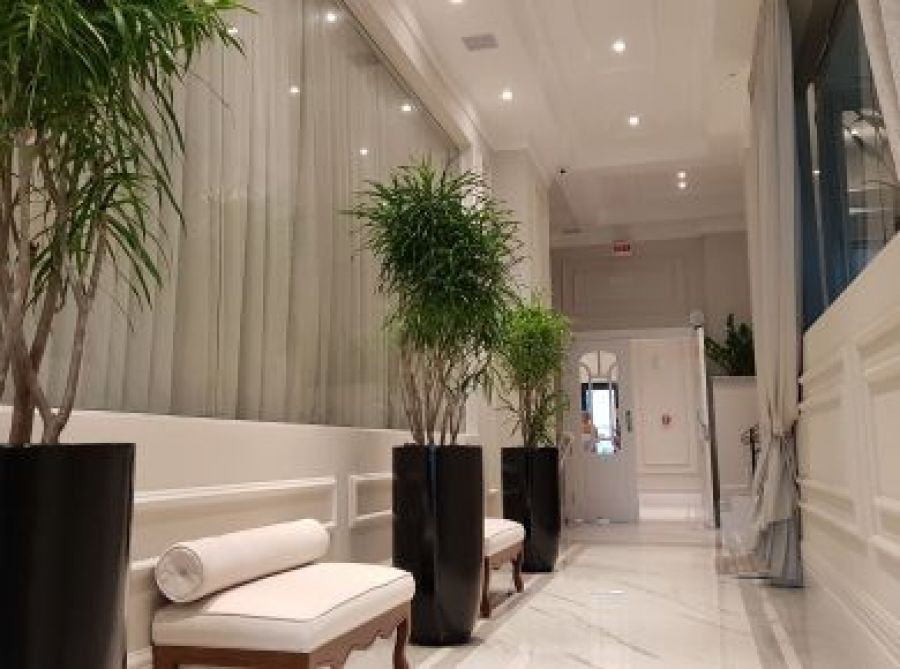 Paisagismo de interiores e sua importância para a saúde