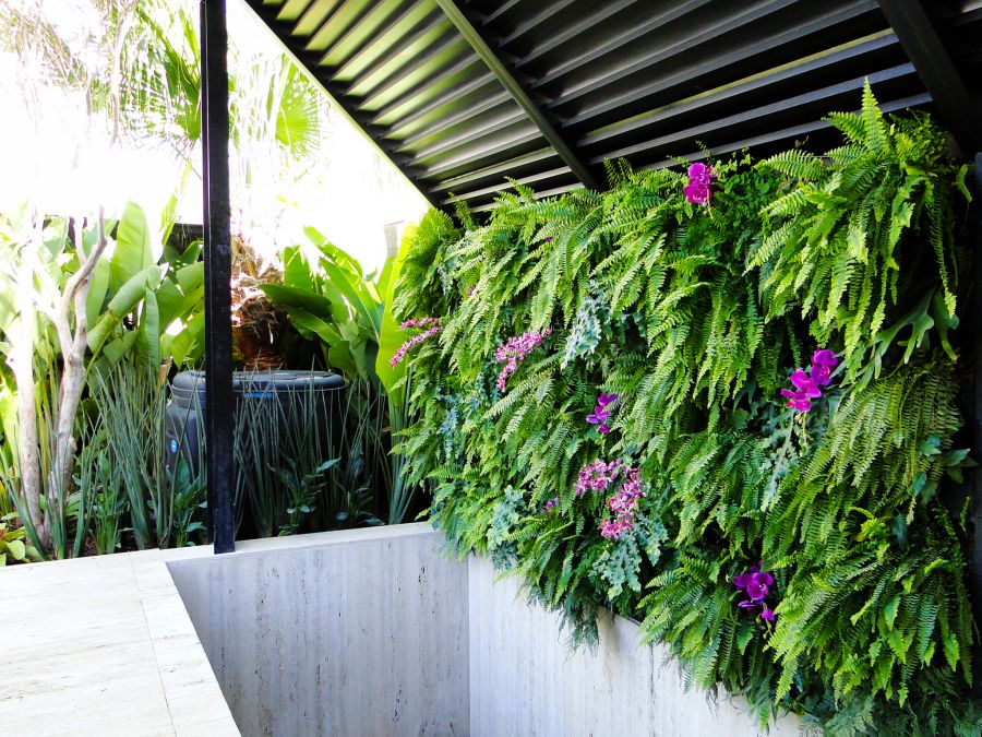 Paredes vegetadas: como escolher a sua