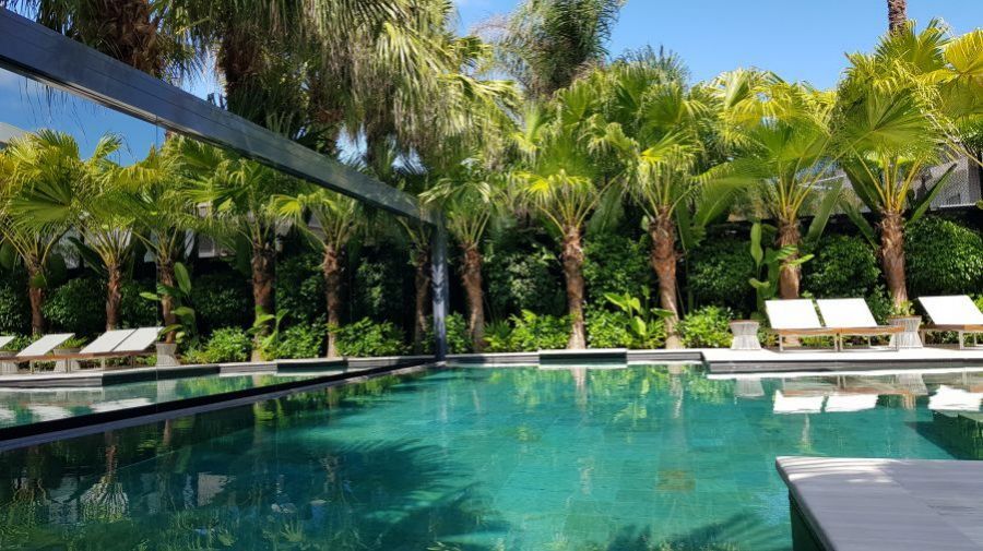 6 Importantes recursos que você precisa ter em seu jardim!