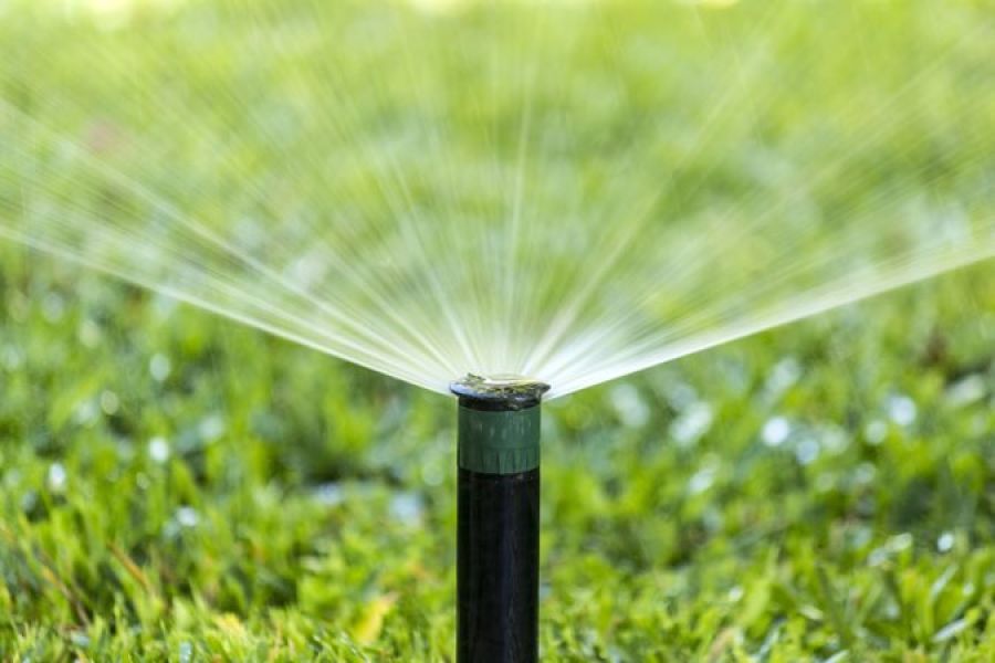 A importância da água para o seu jardim!