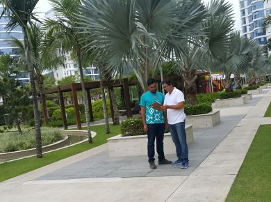 ART - Responsabilidade técnica dos serviços de paisagismo e jardinagem