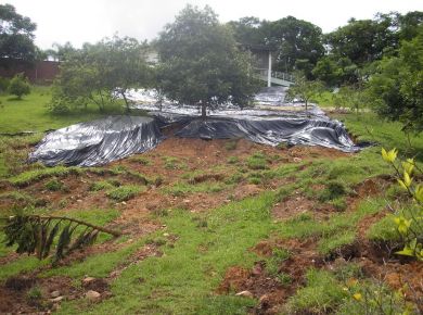 RECUPERAÇÃO DE TALUDES DEGRADADOS 