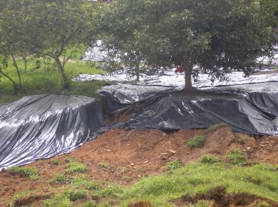 RECUPERAÇÃO DE TALUDES DEGRADADOS 