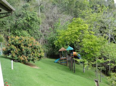 RECUPERAÇÃO DE TALUDES DEGRADADOS 