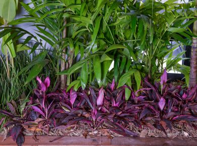 Le Nôtre na Casacor Santa Catarina 2019