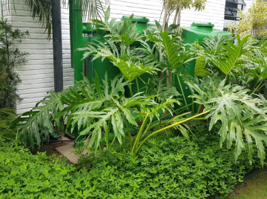 Irrigação de Horta com água da chuva