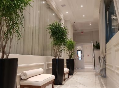 Paisagismo de interiores e sua importância para a saúde