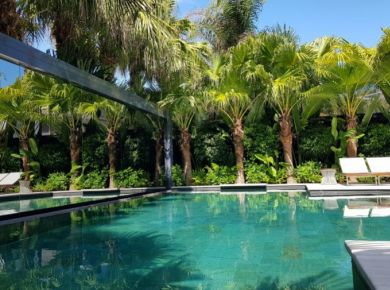 6 Importantes recursos que você precisa ter em seu jardim!