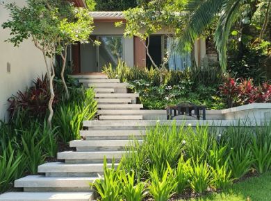 Qual o melhor horário para regar o seu jardim?