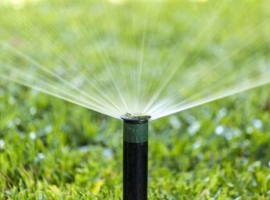 A importância da água para o seu jardim!