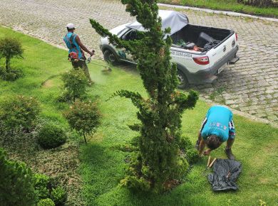 Como saber se meu gramado está saudável