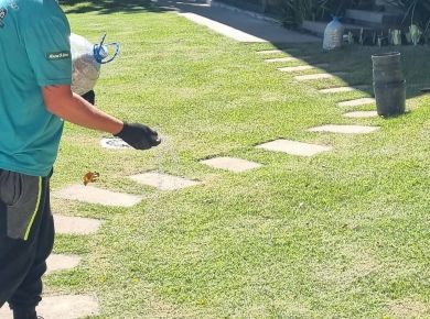 Como saber se meu gramado está saudável