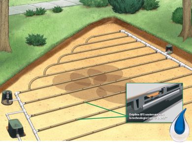 Nutrição vegetal por ferti-irrigação