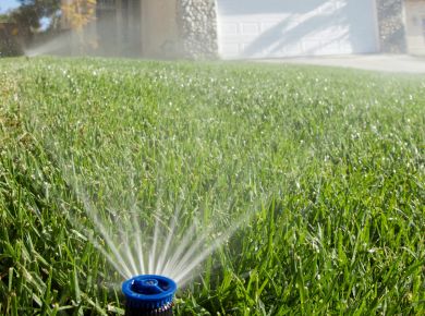 Nutrição vegetal por ferti-irrigação