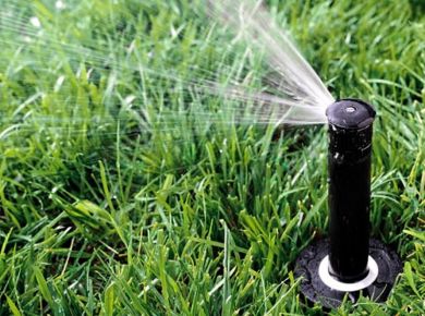 Nutrição vegetal por ferti-irrigação