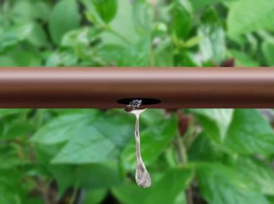 Nutrição vegetal por ferti-irrigação