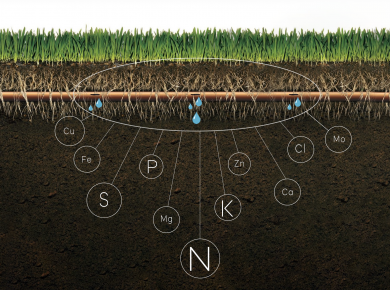 Nutrição vegetal por ferti-irrigação