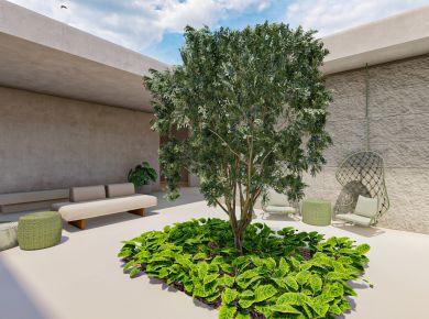 A importância das árvores no projeto paisagístico