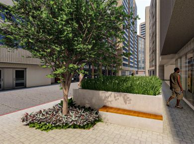 A importância das árvores no projeto paisagístico