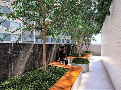 A importância das árvores no projeto paisagístico