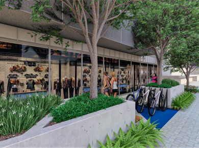 A importância das árvores no projeto paisagístico