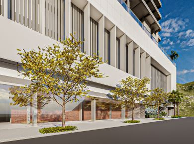 A importância das árvores no projeto paisagístico