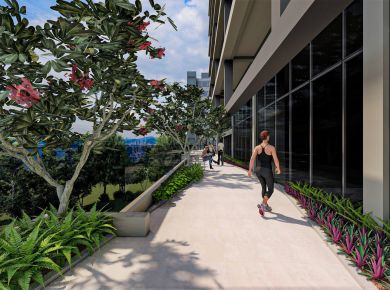 A importância das árvores no projeto paisagístico