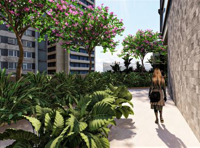 A importância das árvores no projeto paisagístico