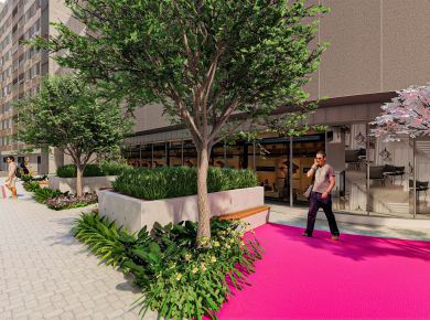 A importância das árvores no projeto paisagístico