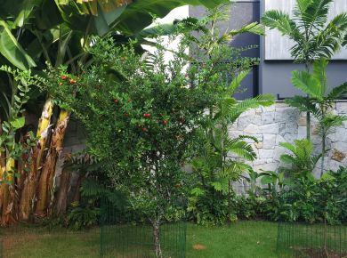 Funcionalidades de um jardim