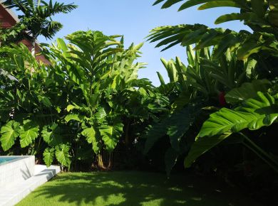 Funcionalidades de um jardim