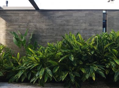 Funcionalidades de um jardim