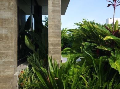 Funcionalidades de um jardim