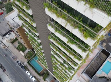Fachadas verdes: integração entre natureza e arquitetura contemporânea 