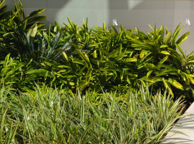 One Tower: Biofilia inteligente e verde funcional