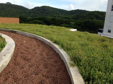 Telhado Verde agora é lei em Blumenau SC 