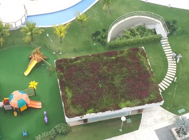 Telhado Verde agora é lei em Blumenau SC 