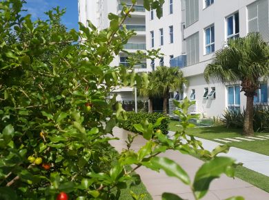 Paisagismo com plantas nativas